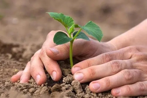 因子綜合作用原理？